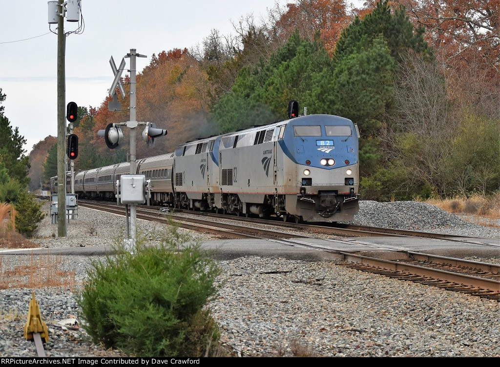 Palmetto Train 90